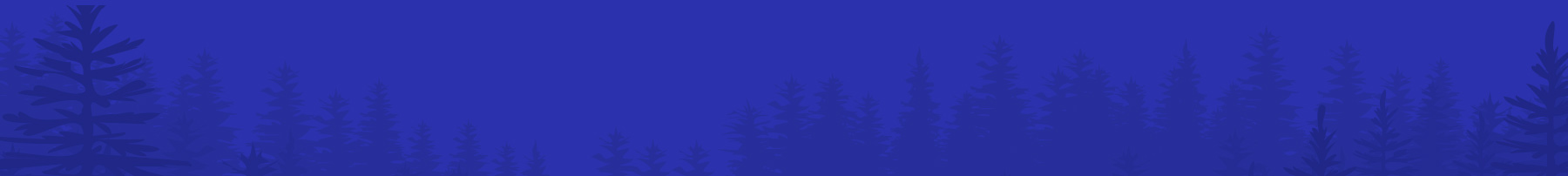 Fondo Inferior Indubolsas